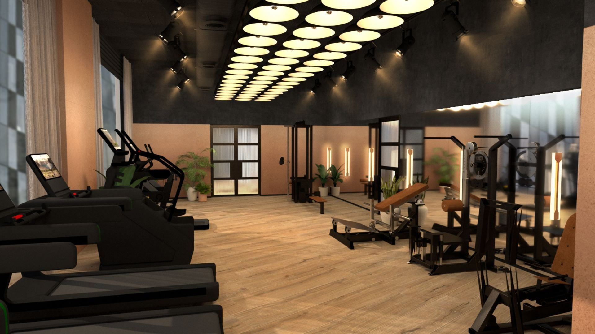 Stellar Solutions International Ltd gym design equipment 3D render