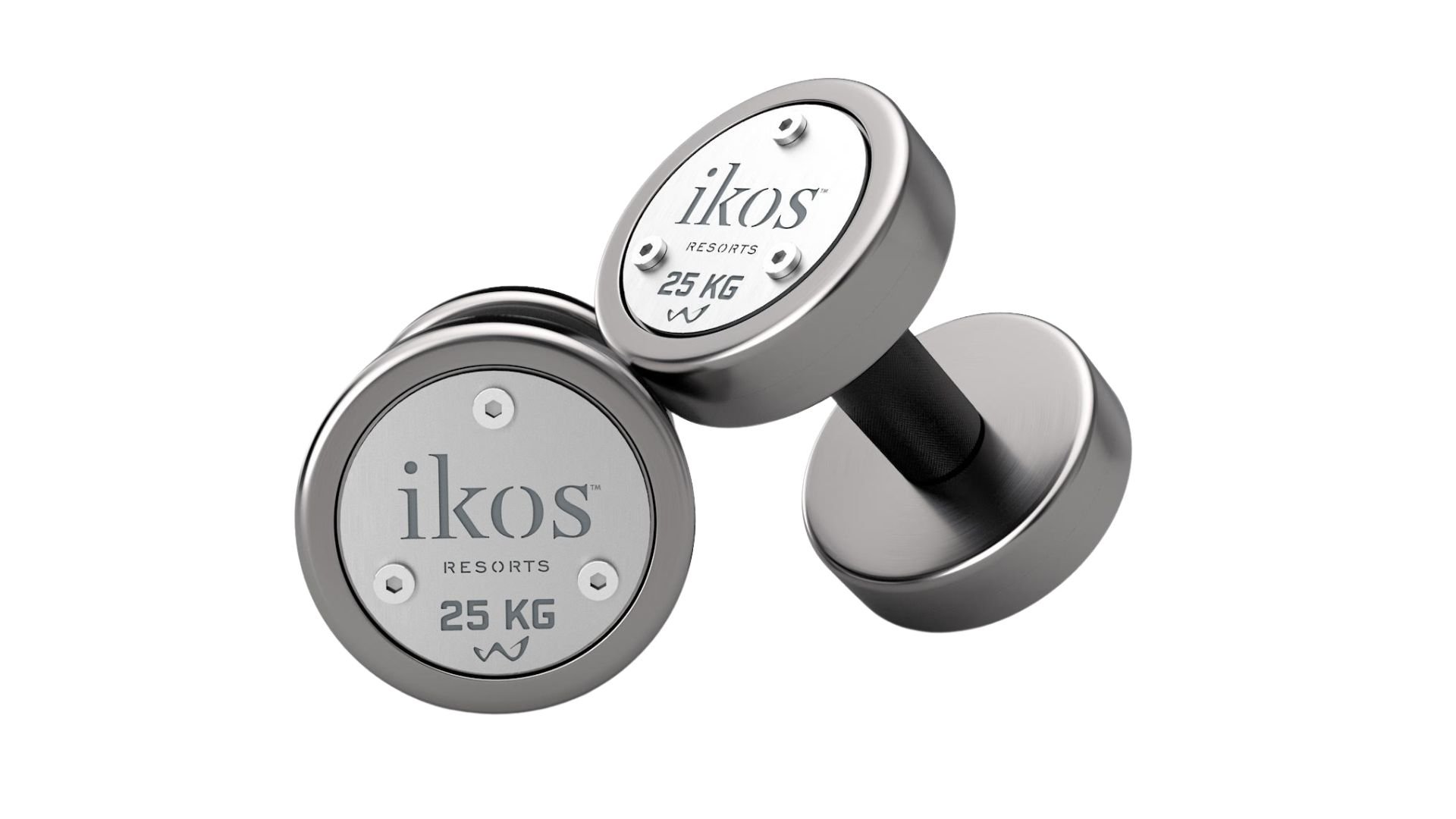 customized end plates gym dumbbells